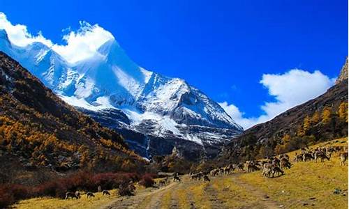 稻城亚丁旅游攻略必去景点有哪些,稻城亚丁著名景点