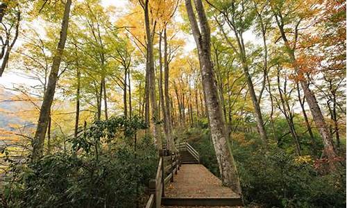 光雾山旅游攻略自驾游_光雾山风景区自驾旅游攻略